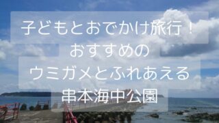 子どもとおでかけ旅行！おすすめのウミガメとふれあえる串本海中公園