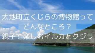 太地町立くじらの博物館ってどんなところ？親子で楽しむイルカとクジラ