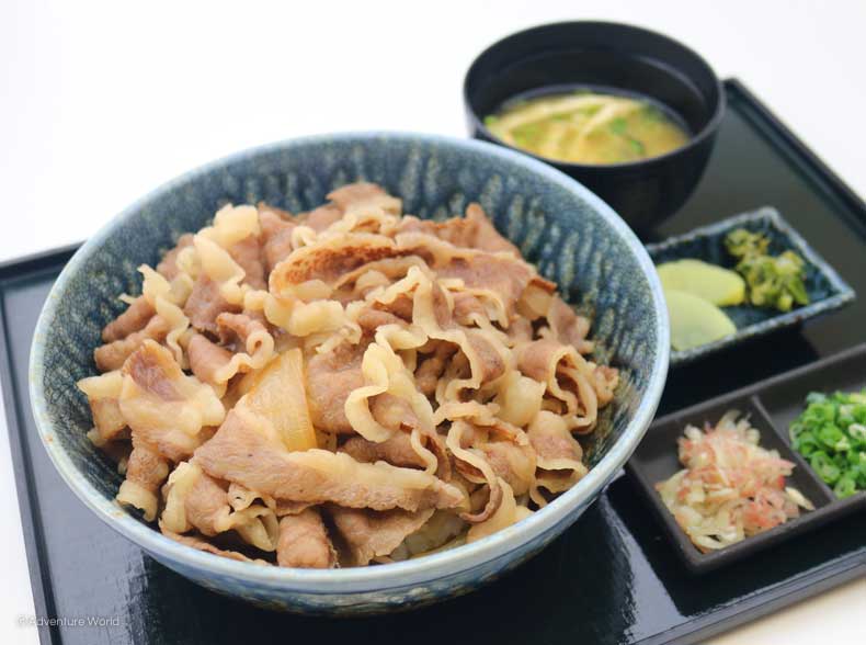 丼亭の料理