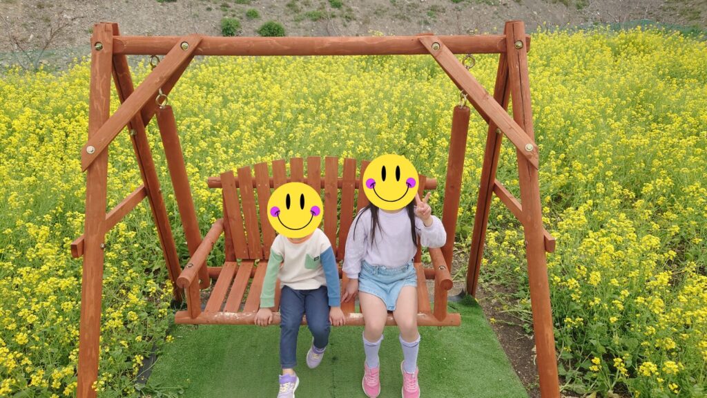 お花畑の写真